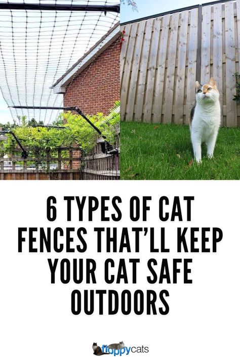 Check out these 6 types of cat fences ideas that provide security and freedom. Find the best cat outdoor fence ideas to let your cat enjoy the outdoors worry-free. Cat Safe Backyard, Cat Fencing Outdoor, Cat Fence Topper, Cat Fence Outdoor, Cat Garden Outdoor, Outdoor Fence Ideas, Cat Proof Garden, Cat Proof Fence, Trampoline Sleepover