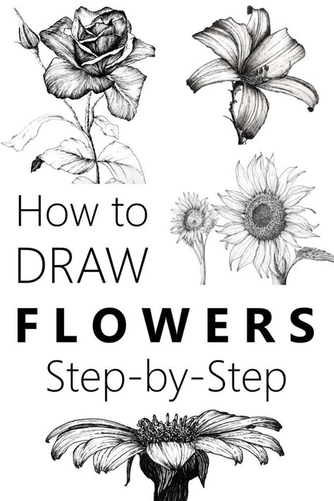 Learn To Draw Flowers, Hur Man Ritar Blommor, Drawing Bts, Easy Pencil Drawings, How To Draw Flowers, Flower Drawing Tutorials, Pencil Sketch Drawing, Drawing Examples, Draw Flowers