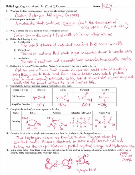 Taxonomy Biology, Anatomy Worksheets, Biological Classification, Biological Molecules, Biology Worksheet, Organic Molecules, Chemistry Worksheets, Covalent Bonding, Word Problem Worksheets