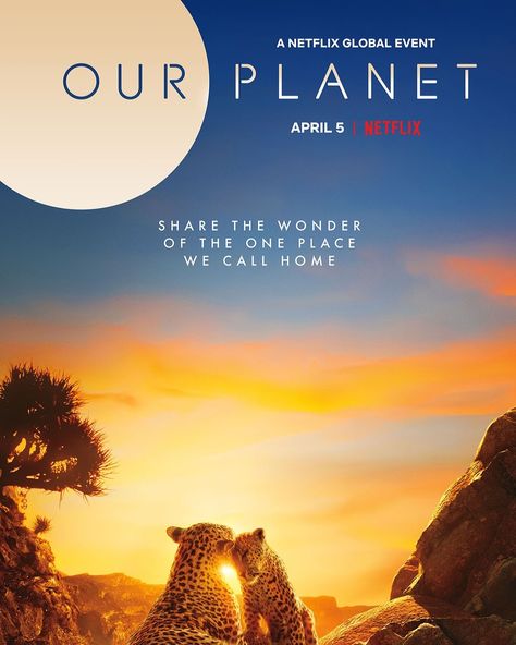 Our planet is a documentary available on Netflix 😊🌍 Natalie Martinez, Netflix Kids, Antonia Thomas, Creature Marine, Planet Poster, Freddie Highmore, Travel Movies, Documentary Movies, David Attenborough