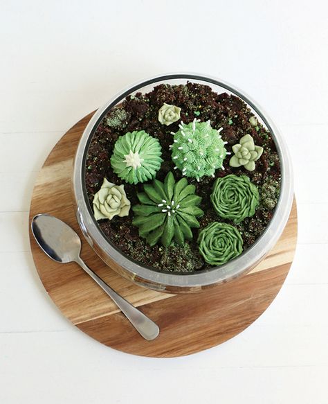 Terrarium Cake Tutorial – Alana Jones-Mann Cupcakes Succulents, Edible Terrarium, Buttercream Succulents, Terraria Cake, Beach Ball Cake, Succulent Cupcakes, Succulent Cake, Cactus Cake, Friends Cake