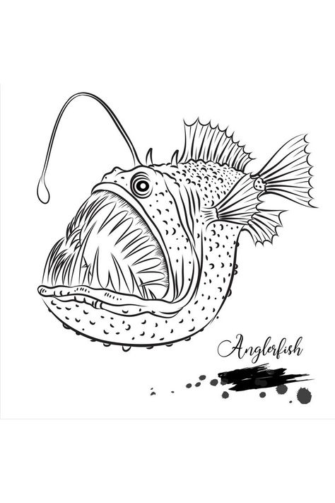 Angler fish drawing Fish With Light On Head Drawing, Bluefin Tuna Drawing, Angler Fish Sketch, Lantern Fish Drawing, Anglerfish Illustration, Fish Drawings Simple, Scary Fish Drawing, Big Fish Drawing, Lion Fish Drawing