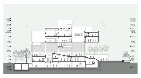 Architecture Section Drawing, Architecture Dimensions, Section Architecture, Architecture Sections, Institutional Architecture, Section Drawing Architecture, Architecture Section, Architecture Drawing Presentation, College Architecture