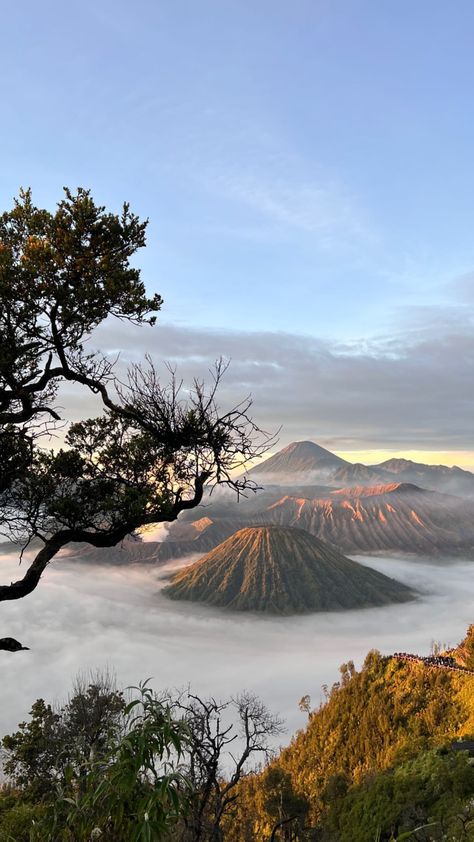 Bromo Mountain, Mountain Aesthetic, Creative Instagram Photo Ideas, Alam Yang Indah, Malang, Sky Aesthetic, Cat Drawing, Dream Destinations, Travel Aesthetic