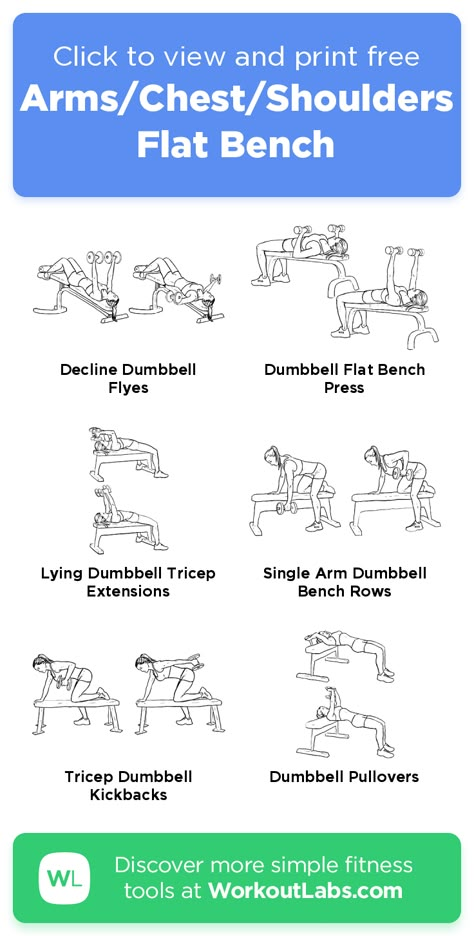 Weight Bench Dumbell Workout, Bench Exercises Workout, Home Workout With Bench, Arm Workout On Bench, Adjustable Bench Workout, Workouts With A Bench, Bench Dumbell Workout, Flat Bench Workout, Dumbbell Bench Workout