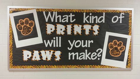 Tiger bulletin board for school Showcase Paw Print Classroom Theme, Safari Bulletin Boards, Jungle Bulletin Boards, Hallway Bulletin Boards, Office Bulletin Boards, Elementary Bulletin Boards, Kindergarten Bulletin Boards, Bulletin Boards Theme, School Secretary