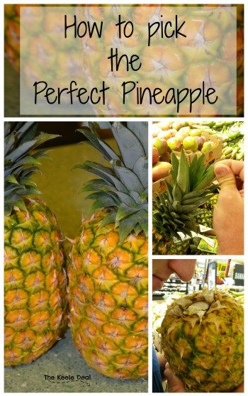 How to Pick the Perfect Pineapple -Jared always picks the best Pineapples, I don't know if he is just lucky or if working the produce department in high school really did teach him how to pick the perfect pineapple.Here are the things to look for when picking a Pineapple. Picture Of Pineapple, Healthy Nutrition Plan, Ripe Pineapple, Pineapple Water, Pineapple Recipes, Fruit Picking, Food Info, Good Health Tips, Food Facts