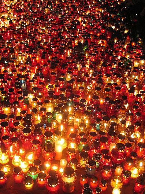 Feast Of All Saints, Backyard Night, Fall Traditions, Polish Traditions, Polish Girl, Poznan Poland, Saints Days, Light Of Christ, All Souls Day