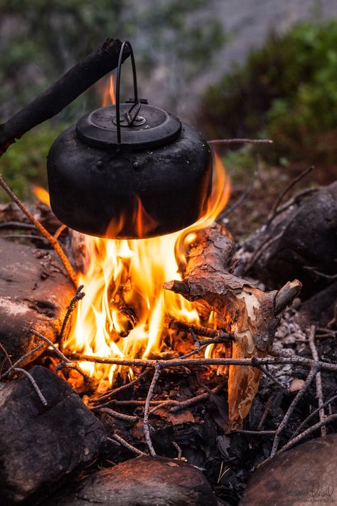 Survival Bushcraft, Halloween Camping, Wilderness Camping, Camping Photography, Camping Aesthetic, Bushcraft Camping, Festival Camping, Hiking Backpacking, Campfire Cooking