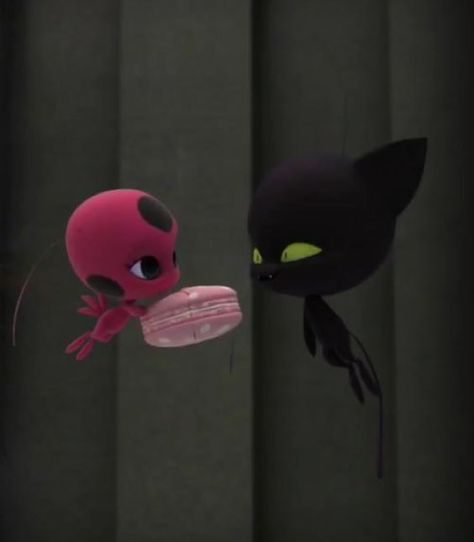 Plagg And Tiki, Miraculous Ladybug Plagg, Tikki Miraculous, Tikki And Plagg, Ladybugs Movie, Tikki Y Plagg, Complicated Love, Miraculous Wallpaper, Marinette And Adrien