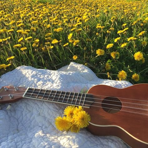 Happy Summer Upbeat Ukulele Folk - Moonchild Studio by Moonchild Studio Aesthetic Singing, Ukulele Art, Tromso, Music Aesthetic, Ukelele, Yellow Aesthetic, Happy Summer, Mellow Yellow, Maleficent