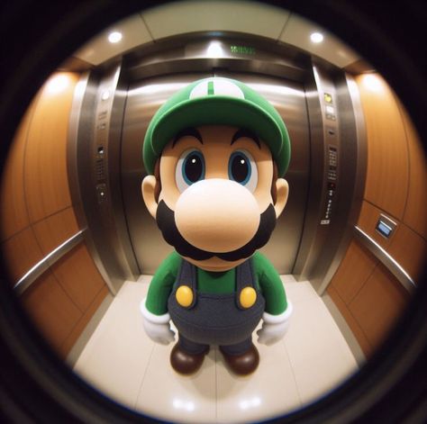 Luigi Profile Picture, Profile Picture Character, Luigi Pfp, Fisheye Photos, Steam Profile, Cracked Wallpaper, Grunge Pictures, Halloween Wallpaper Cute, Graffiti Wallpaper Iphone