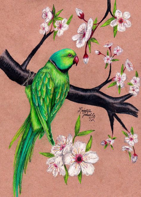 Among the Flowers by KristynJanelle Bird Painting Acrylic, Parrot Painting, Green Parrot, Parrots Art, Fabric Painting Techniques, Colored Pencil Artwork, Eagle Art, Rangoli Designs Flower, Colored Pencil Art