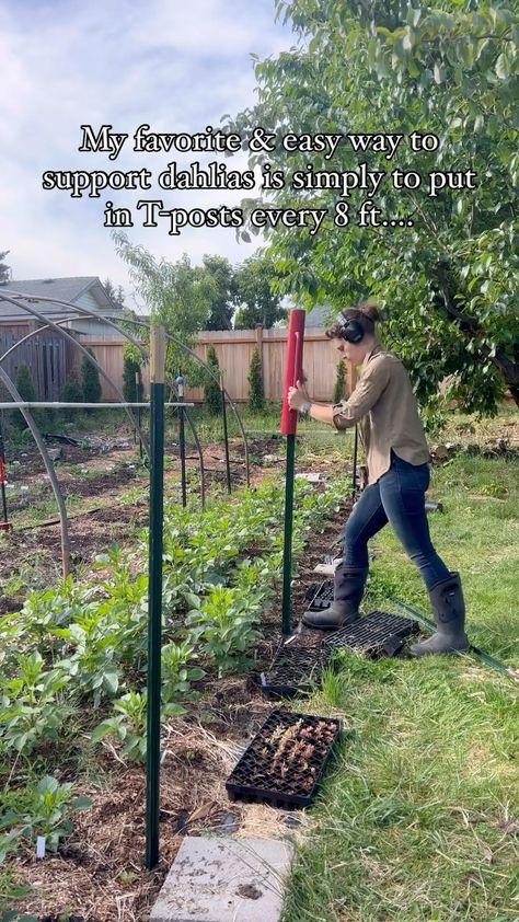 Galena Berkompas • Urban Flower Farm • Education (@microflowerfarm) • Instagram photos and videos Urban Flower Farm, Bailing Twine, Micro Farm, Flower Farmer, Urban Farming, Garden Stakes, Flower Farm, Growing Flowers, Cottage Garden