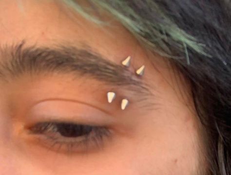 Masc Piercings, Two Eyebrow Piercing, Body Mods Piercing, Cool Piercings Face, Double Eyebrow Piercing, Angel Bites Piercing, Piercing Arcade, Bridge Piercing, Snakebites