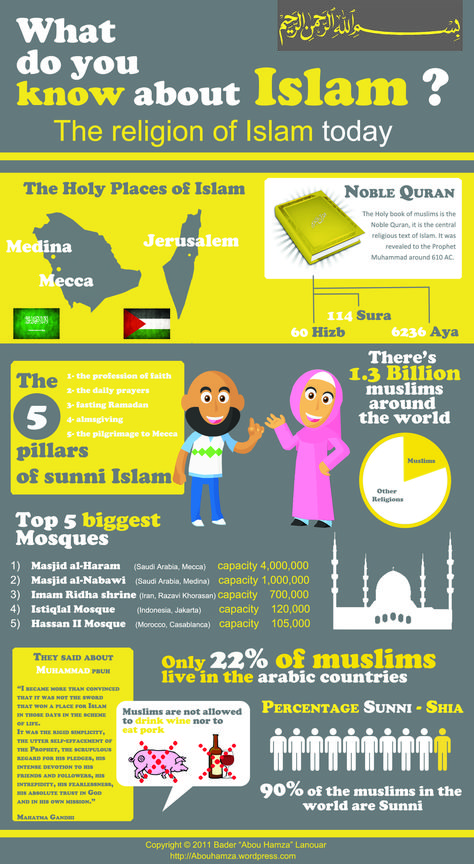 What do you know about Islam Coran Islam, About Islam, Noble Quran, Islamic Studies, Islam Religion, Basic Facts, World Religions, Religious Education, Islamic Teachings