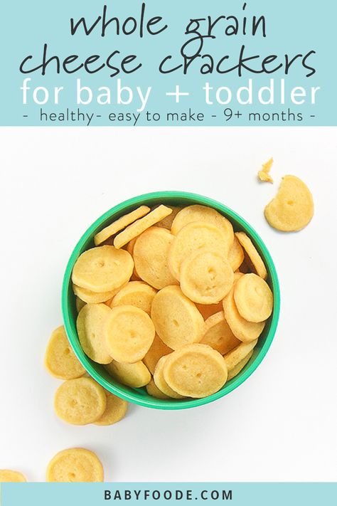 These Whole Grain Cheese Crackers are a great healthy alternative to packaged crackers. Made with just five ingredients, these homemade crackers are super easy (no rolling required!) and the perfect finger food for kids, toddlers, and baby led weaning. #babyledweaning #snacks #healthysnacks #toddlerrecipes Healthy Cheese Crackers, Toddler Food Prep, Finger Food For Kids, Fingerfood Baby, Finger Foods For Kids, Healthy Cheese, Food For Kids, Baby Led Weaning Recipes, Homemade Crackers