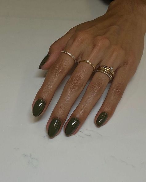 Best Fall Nail Colors, Martini Nails, Olive Nails, Nails Brown, Fall Gel Nails, Fall Nail Colors, Brown Nails, Fall Nail, Dream Nails