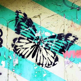 Butterfly Graffiti, Stencil Street Art, Street Art Photography, Black Spray Paint, Butterfly Drawing, Amsterdam Netherlands, Pink Interior, Stencil Art, Butterfly Art