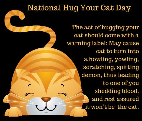 Hug your cat day National Hug Your Cat Day, Animal Calendar, Hug Your Cat Day, Cat Poems, Southern Comfort Food, Cartoon Cats, Cat Activity, Secret Power, Old Rugged Cross