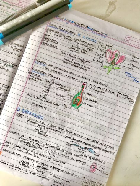 Reproduction Class 10 Notes, Class 10 Science Notes Biology Reproduction, Life Processes Class 10 Notes Aesthetic, Reproduction In Organisms, Botany Notes, Bio Notes, Biochemistry Notes, Neet Notes, Note Making