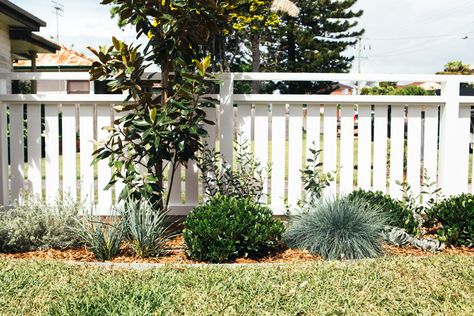 Long Jetty Renovation Front Facade Reveal - Kyal & Kara : Kyal & Kara Coastal Front Gate Entrance, Front Yard Beach House, Aluminium Front Fence Ideas Australia, Hampton Style Front Fence, White Timber Fence, Coastal Front Fence, Front Fence Ideas Australia, Kyal Kara, Hamptons Fence