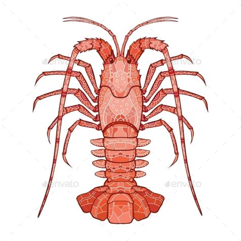 Lobster Pictures, Pier Ideas, Lobster Illustration, Grille Pixel Art, Spiny Lobster, Aquatic Art, Royalty Free Clipart, Wild Animals Pictures, Traditional Tattoo Design