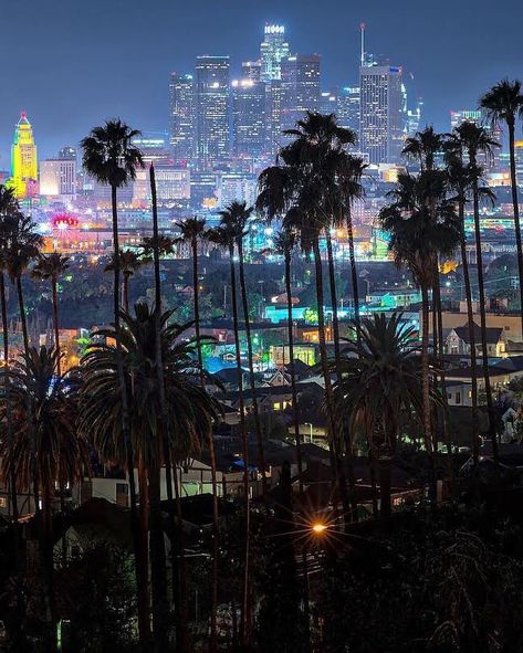 I was born and raised in Los Angeles, so of course I want to share one of my favorite views of the city with you. You can see L.A. City Hall to the left. It used to be the tallest building from 1928-1964.  Hope you liked my photos, you can see more @killakristennn Los Angeles California Photography, Los Angeles At Night, Los Angeles Wallpaper, Palm Tree Photography, Los Angeles Aesthetic, Los Angeles City, Los Angles, Quotes Pictures, Picture Collage Wall