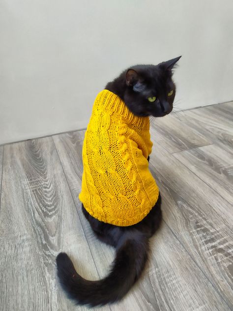 Cat Sweater - Just In! Amazing items from leading brands to meet your supply needs. Cat Sweater Knitting Pattern, Diy Jumper, Cat Sweater Pattern, Classic Braids, Knit A Sweater, Kitten Clothes, Pet Sweaters, Cat Sweater, Knitted Cat