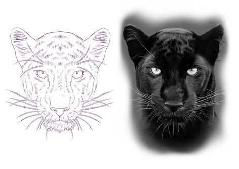 Animal Stencil Art Tattoo Ideas, Black Panther Tattoo Stencil, Black Panther Animal Tattoo, Panther Head Drawing, Puma Tattoo Design, Panther Tattoo Stencil, Lion Tattoo Stencil Drawings, Black Leopard Tattoo, Leopard Head Tattoo