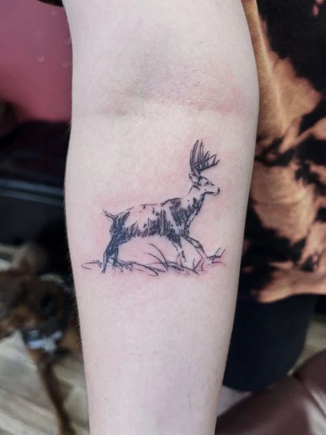 I wanted to share the two RDR2 tattoos I got today! One is Arthur's sketch of the legendary buck, the other is his sketch of a coyote. I love them so much! : r/reddeadredemption2 Rdr2 Tattoo, Deer Antler Tattoos, Buck Tattoo, Antler Tattoos, Coyote Tattoo, Elk Tattoo, Antler Tattoo, Moose Tattoo, Stag Tattoo