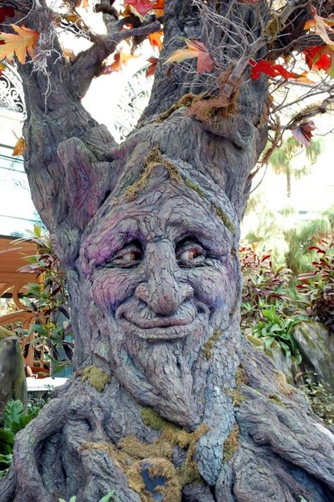 Exceptional Examples of Tree Carving Art (16) Tre Kunst, Weird Trees, Tree People, Crash Test, Wood Spirit, Tree Faces, Tree Spirit, Tree Carving, Unique Trees