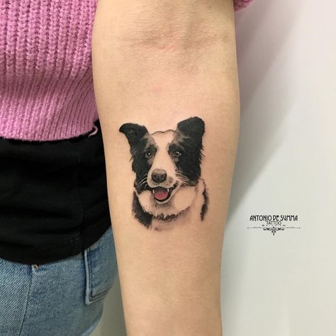 Border Collie Tattoo, collie tattoo, minimalist border collie tattoo, border collie tattoo simple, border collie tattoo ideas, rough collie tattoo, border collie tattoo small, minimalist collie tattoo, border collie tattoo outline, border collie tattoo designs, simple border collie tattoo, simple border collie tattoo designs, outline border collie tattoo, simple rough collie tattoo, geometric border collie tattoo, collie tattoo designs, minimalist border collie tattoo designs,melon collie tattoo Border Collie Tattoo Outline, Tattoo Designs Minimalist, Melon Collie, Collie Tattoo, Border Collie Tattoo, Minimalist Border, Tattoo Border, Small Moon Tattoos, Moon Tattoos