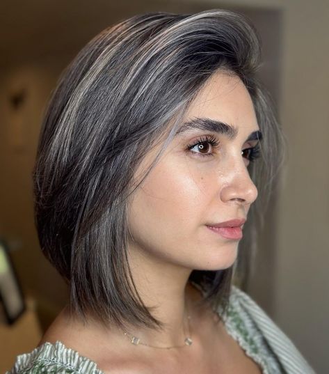 Brunette Hair with Subtle Gray Highlights White Hair Highlights Going Gray, Brown Hair With Silver Highlights, Gray Highlights, Dark Grey Hair, Pepper Hair, Grey Hair Dye, Grey Hair Transformation, Salt And Pepper Hair, Grey Hair Inspiration