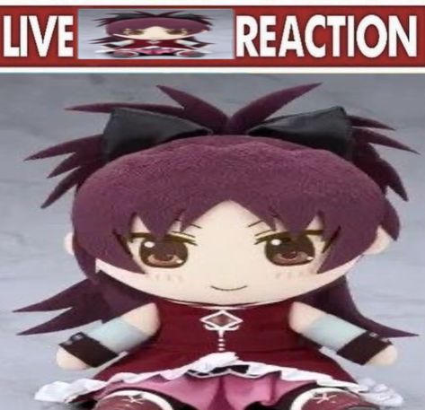 Kyoko Sakura, Sayaka Miki, Reaction Pics, Puella Magi Madoka Magica, Im Going Crazy, Madoka Magica, Cutie Patootie, Magical Girl, Hatsune Miku