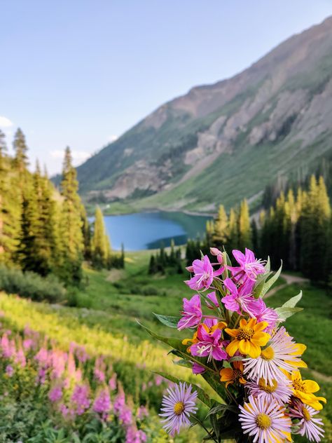 Wildflowers and Emerald lake near Crested Butte CO. [3000x4000] [OC]  Click the link for this photo in Original Resolution.  If you have Twitter follow twitter.com/lifeporn5 for more cool photos.  Thank you author: https://bit.ly/2CixMOh  Broadcasted to you on Pinterest by pinterest.com/sasha_limm  Have The Nice Life! Flowers Photography Beautiful, Wildflowers Photography, Emerald Lake, Crested Butte, National Photography, Geocaching, Landscape Pictures, Landscape Photographers, Scenery Wallpaper