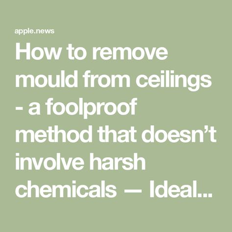 How to remove mould from ceilings - a foolproof method that doesn’t involve harsh chemicals — Ideal Home Old Bed Sheets, Cleaning Mold, Ceiling Texture, Plaster Ceiling, Extractor Fans, Mold Growth, Bathroom Ceiling, Natural Cleaners, Vinegar And Water