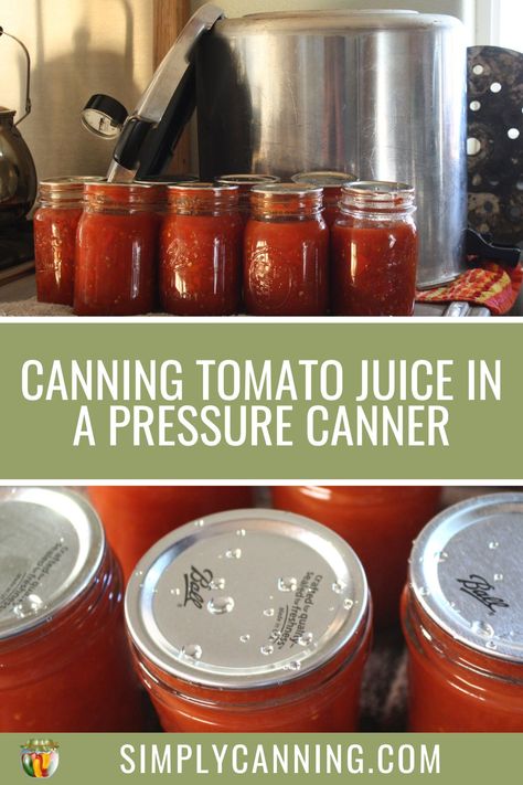 Canning Tomato Juice in a Pressure Canner Canning Tomatoes Juice, Canning Tomato Juice In Pressure Cooker, Pressure Canning Tomato Juice, Canning Diced Tomatoes Pressure Canner, Canning Tomatoes Pressure Canner, How To Can Tomato Juice, Tomato Juice Recipes Canning, How To Make Tomato Juice, Pressure Canning Tomatoes