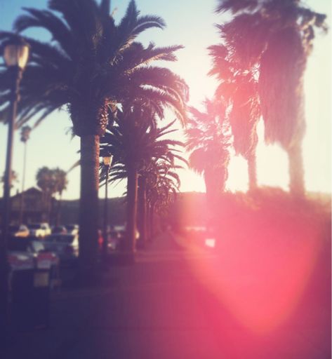 California Palm Trees photography summer palm trees california summer photography Tumblr Girly Aesthetic, Tumblr Girly Aesthetic 2013, Palm Tree Pictures, Summer Tumblr, 2014 Vibes, Tumblr Era, 2010s Aesthetic, California Palm Trees, Pink Tumblr Aesthetic