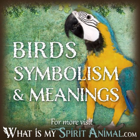 Birds And What They Symbolize, Parrot Symbolism, Birds Symbolism, Bird Signs, Parrot Spiritual Meaning, Totem Animals Meaning, Totem Pole Animals And Their Meanings, Animals And Their Spiritual Meanings, Bird Symbolism