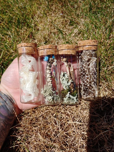 Grateful Bones 🐰 on Twitter: "Curiosity Oddity Vials coming your way 7/17 12pm pst 🐹 filled with naturally mummified squirrel paws, beetles, bones and more ✨… https://t.co/UIkkTKWDpT" Oddities And Curiosities Diy, Curiosity Decor, Diy Animal Bone Art, Bones In Jars, Animal Bones Decor, Bone Oddity Art, Animal Bone Collection, Oddities Collection, Oddities Decor