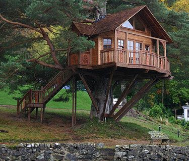 50 Stunning Homes Built Into Nature- I would love this.. and so would Angel.. unless I hurt my ankle or knee again.. Beautiful Tree Houses, Cool Tree Houses, Outdoor Buildings, Tree House Designs, Machine Video, Large Tree, Forest House, House Built, Home Pictures