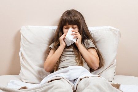 How To Deal with Apartment Allergies Stop Sneezing, Cold Or Allergies, Severe Asthma, Bacterial Diseases, Sinus Problems, Home Tricks, Sleep Hygiene, Respiratory Infection, Respiratory Diseases