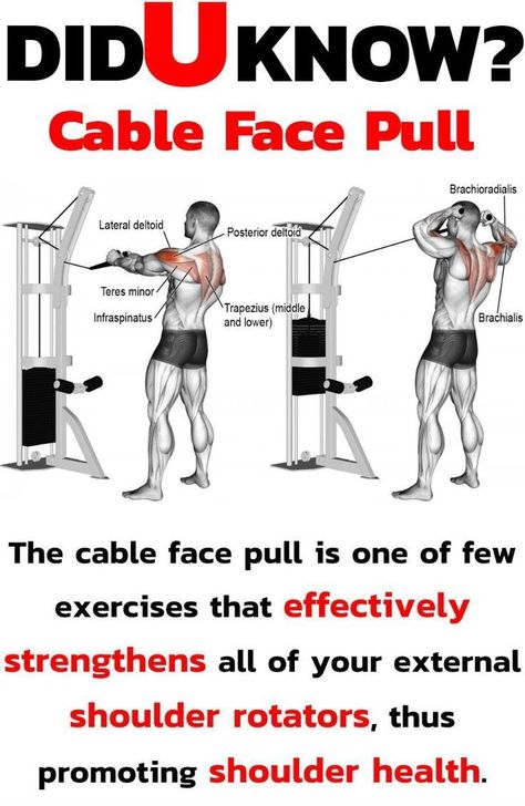 Shoulder Superset Workout, Shoulder Superset, Superset Workout, Psoas Release, Cable Workout, Workout List, Face Pulls, Workout Exercises, Cable Machine