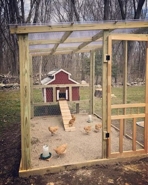 Reban Ayam, Building Yourself, Katt Grejer, Easy Chicken Coop, Cute Chicken Coops, Coop Run, Foliage Arrangements, Chicken Barn, Chicken Coop Garden