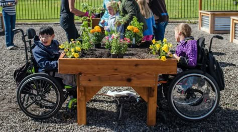 Wheelchair Accessible Garden Raised Beds, Accessible Garden Design, Wheelchair Gardening, Wheelchair Accessible Garden, Wheelchair Garden, Accessible Gardening, Therapeutic Garden, Making Raised Garden Beds, Accessible Garden