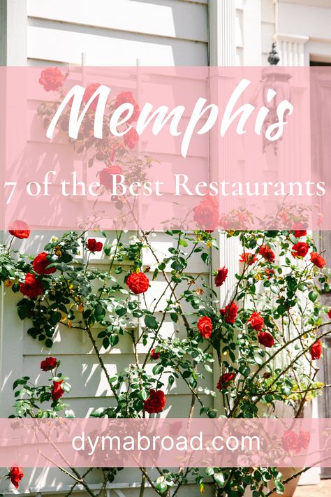 Are you looking for the best restaurants in Memphis? In this article you'll find a list of restaurants that you should not miss with menus and addresses! Memphis Restaurants, Downtown Memphis, Dinner Places, Memphis Tennessee, Fancy Restaurant, Great Restaurants, United States Travel, Best Restaurants, Vacation Ideas