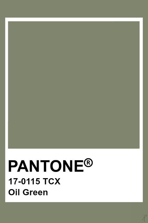 Pantone Oil Green Pantone Tcx Green, Green Pantone Colors, Pastel Color Pantone, Pantone Olive Green, Forest Green Pantone, Pantone Sage Green, Light Green Pantone, Sage Green Pantone, Sage Pantone