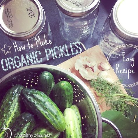 Organic Pickle Recipe, Clean Liver, Recipes Juice, Juice Fasting, Seal Craft, Healing Diet, Raw Apple Cider Vinegar, Pickle Recipe, Homemade Pickles