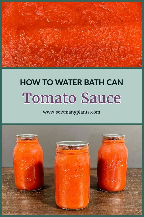 Canning Diced Tomatoes Water Bath, Canning Tomatoes Water Bath, Canning Rack, Water Bath Canning, How To Peel Tomatoes, Tomato Sauce Recipe, Homemade Tomato Sauce, Canning Tomatoes, Canned Tomato Sauce